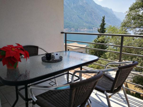 Гостиница Apartment Babovic  Котор